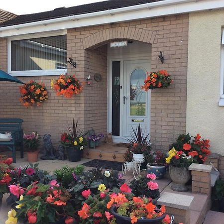 Lowefield B&B Stirling Kültér fotó